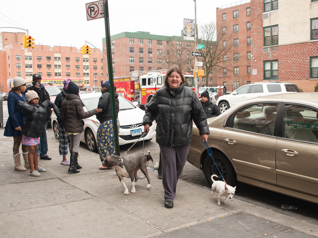 <p>Rose Martinez escaped Apartment 4C with several dogs on Jan. 1, 2013.</p>
