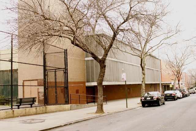 <p>A gunman fleeing an undercover cop on Jan. 8, 2013, ran into P.S. 45 Horace E. Greene.</p>
