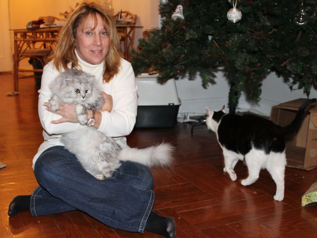 <p>Susan LaMarca shares her apartment with six cats.</p>
