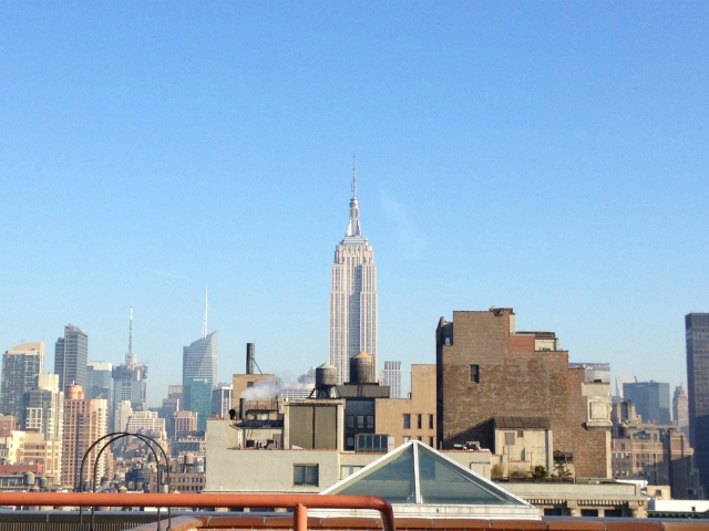 <p>The view from the penthouse office of UrbanSpace, which has subdivided the space and started renting it to companies interested in having office space that comes with rooftop farm access.</p>
