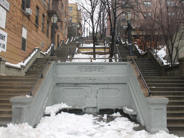 <p>The steps at west 215th Street are currently cracked and have drainage problems.</p>
