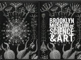 Brooklyn Museum of Science and Art to Include Labs, Adult Ed and Atrium