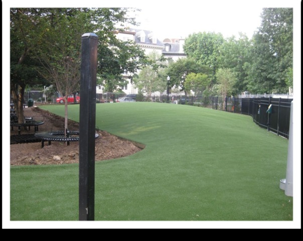 <p>A dog park in Washington, D.C., that uses fake grass similar to the turf proposed for the Bull Moose Dog Run.</p>
