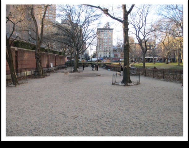 <p>The dog run has been characterized as a blight by some users.&nbsp;</p>
