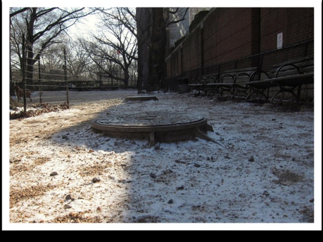 <p>A manhole is creeping up as the ground in the dog run erodes with use.&nbsp;</p>
