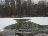 Two Young Men Rescued After Falling Through Ice in Central Park, Police Say