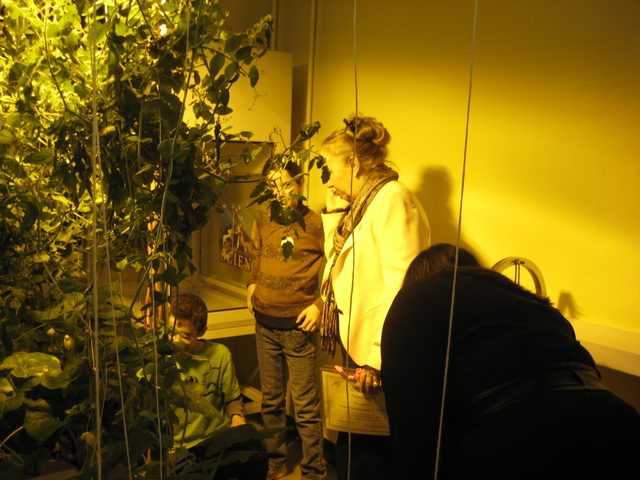 <p>Gale Brewer gets a tour of the hydroponic farm, where students are learning about urban farming techniques.</p>
