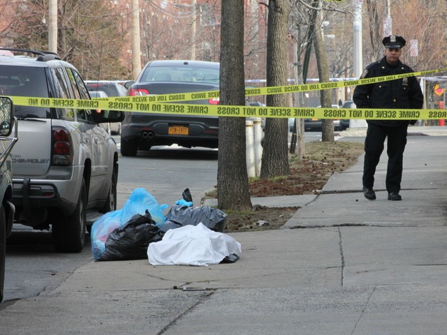 <p>Police scoured Morrisania looking for evidence in Tuesday morning's brutal killing.</p>
