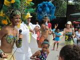 Summer Camp to be Spared in Heart of Brooklyn Restructure