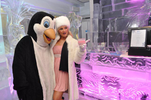 <p>Model and TV personality Holly Madison poses for a photo with the penguin mascot for Minus5 Ice Bar in Las Vegas. The bar has two locations in Sin City, and is opening its third at the Hilton New York in Midtown in March 2013.</p>
