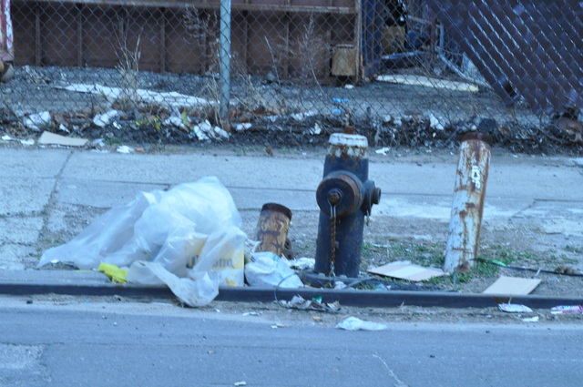 <p>Dog owners said they feared for their dogs passing potentially harmful debris on West Street and Franklin Street in North Greenpoint.</p>
