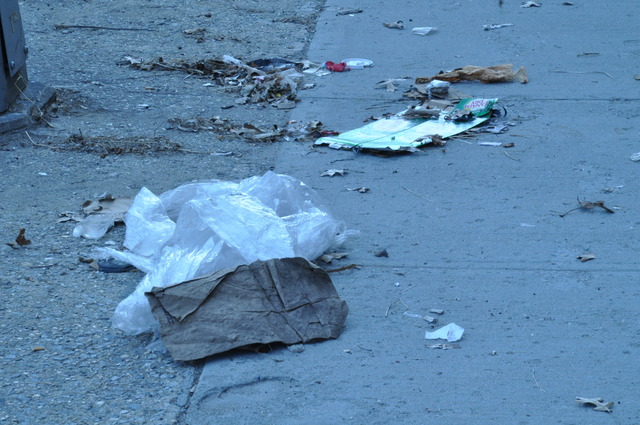 <p>Residents said trash on the sidwalks on West Street is a common occurence.</p>
