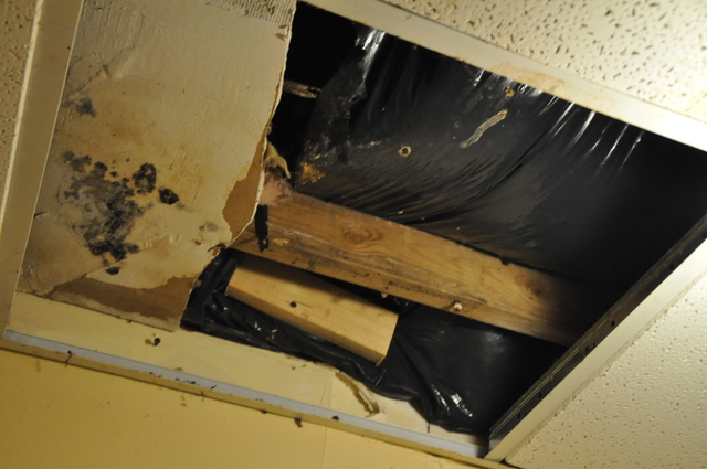 <p>The ceilings are in disrepair in bathrooms at the 1109 Manhattan Avenue residence.</p>
