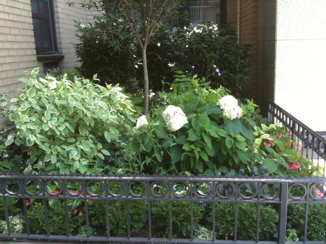 <p>A photo of the Garden at 145 E. 15th St. taken during the summer of 2012.</p>
