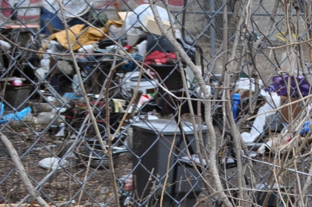 <p>Jerzy Sulek's lot is covered in piles of items and debris.</p>
