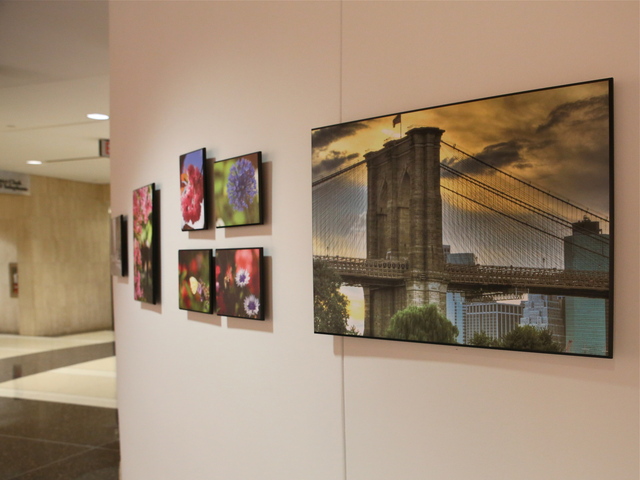 <p>The Charles P. Sifton Gallery.</p>
