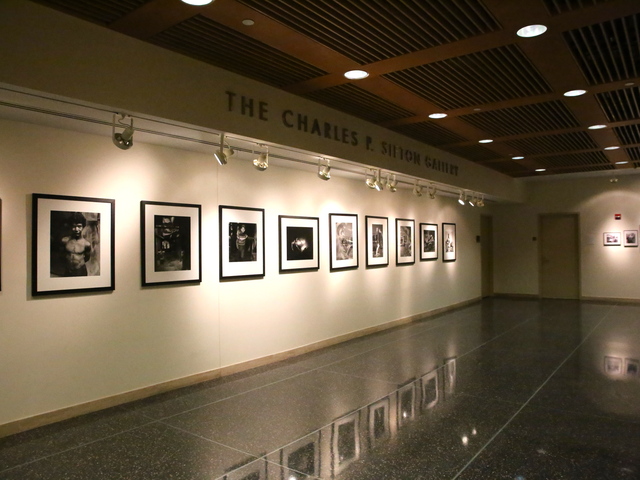 <p>The Charles P. Sifton Gallery.</p>
