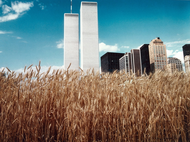 <p>MoMA PS1's 'EXPO 1: New York" explores the many challenges New York City faces in an age of climate change and economic instability. The expo will run from May through September.</p>
