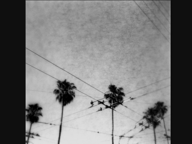 <p>Chris Crawford's "Palm's" took home first place in the photo competition.</p>

