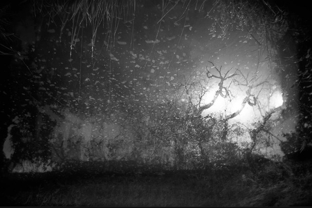 <p>J.M. Golding's "Knowing you are in the world" won the Holga Inspire Award. Many of the photos are taken with a plastic, Holga brand camera.</p>
