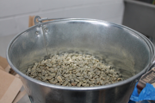 <p>Native Coffee Roasters imports raw, green coffee beans, and roasts them in a warehouse space on 49th Street in Astoria, Queens.</p>
