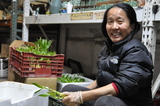 Tibetan Refugees Find Niche Selling Chinese Bamboo in Williamsburg