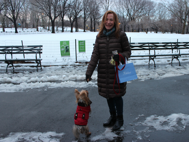 <p>Caterina, the Yorkie pictured here, is 4 years old, her owned said.</p>
