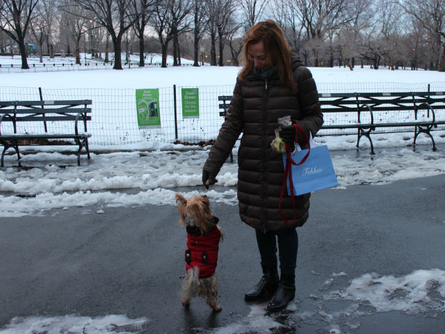 <p>Laura S. said she adopted her Yorkie, Caterina, from a shelter.</p>

