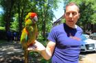 Fort Greene Park's Red-crowned Amazon parrot