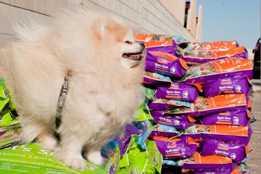 City Tails pop-up store will feature adoptable dogs and cats, pet performances and talks by animal experts such as Dr. Marty Becker, known as "America's Veterinarian."