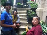 Hell's Kitchen CSA Lets Veggie Fans Sponsor Shares for Needy Families