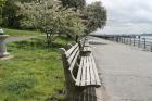 Woman Recants Claim of Being Raped by 'FBI Agent' in Riverside Park