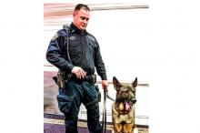 Police Dog Injured Making a Collar in All-Female Subway Brawl in Midtown