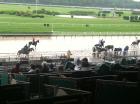 Belmont Park