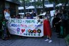 The Fight for Magical Children's Garden