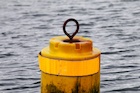 Body Washes Ashore in Harlem River