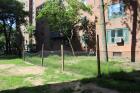Peter Cooper Village's Sandy-Ravaged Plants Won't Be Replaced Until 2014