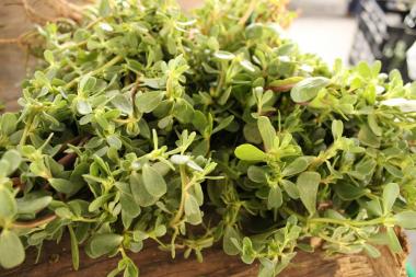 Here's what at the market now.
