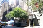 22-Story Hotel Coming to Midtown East
