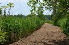 Reopened Trail Gives Forest Hills Residents Access to Willow Lake Preserve