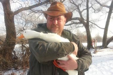 The domesticated duck was probably someone's pet once, but it was left to fend for itself.