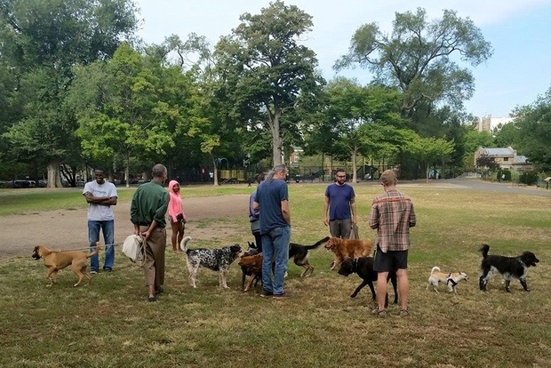 Norwood Park Dog Park Norwood Park Dog Park