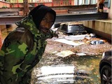 Amar'e Stoudemire Posts Pic of Hurricane-Flooded SUV