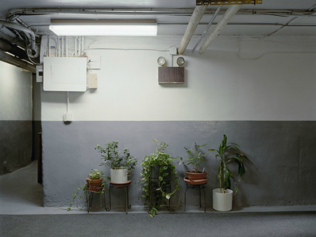 <p>A collection of photography featuring several uptown basements is set to open in Chelsea on Oct. 25, 2012.</p>

