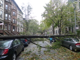 Park Slope Residents Say They're 'Fortunate' in Wake of Hurricane Sandy