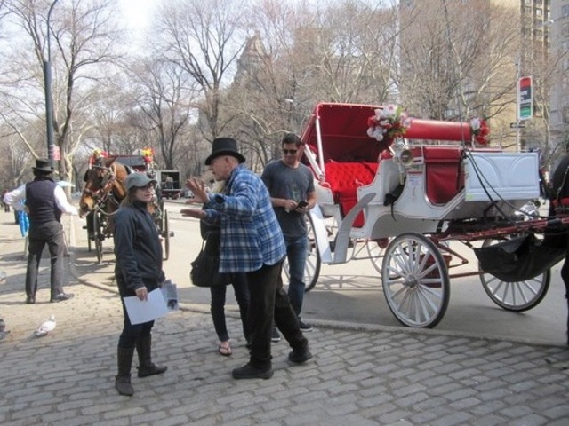 <p>Jessie Streich-Kest, 24, was struck and killed by a falling tree during Hurricane Sandy. A longtime activist, she helped lead the fight against horse-drawn carriages in Central Park with the group New Yorkers for Clean, Livable and Safe Streets.</p>

