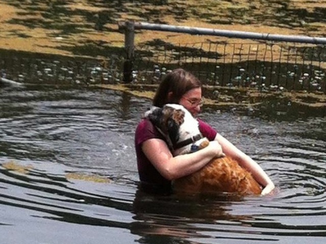 <p>Jessie Streich-Kest, 24, was struck and killed by a falling tree during Hurricane Sandy.</p>
