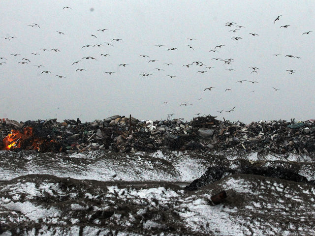 <p>Snow falls as gulls fly over a large debris pile as a Nor&rsquo;Easter arrives in the Rockaway neighborhood on November 7, 2012 in the Queens borough of New York City. The Rockaway Peninsula was especially hard hit by Superstorm Sandy and some are evacuating ahead of the coming storm.</p>
