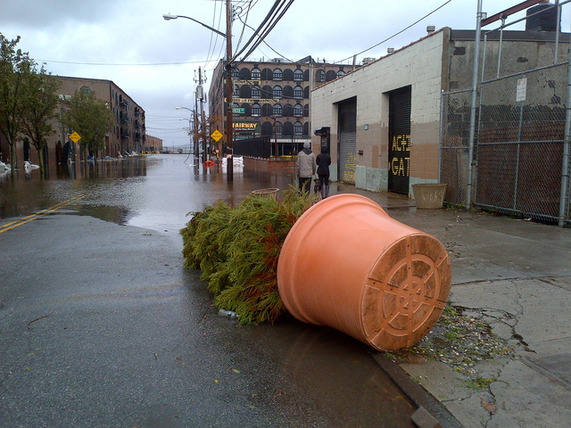 <p>Red Hook on Tuesday, Oct. 30, the day after Hurricane Sandy hit.</p>

