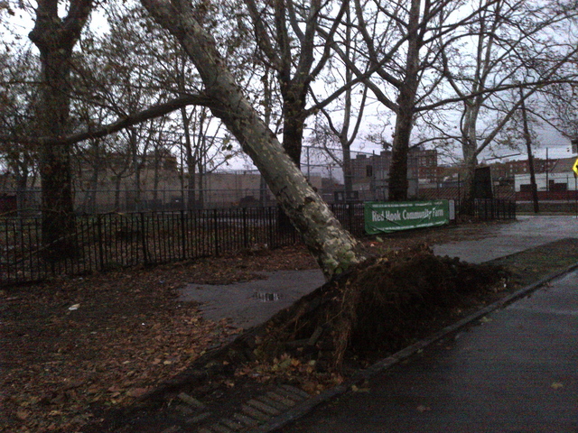 <p>Red Hook on Tuesday, Oct. 30, the day after Hurricane Sandy hit. The community garden across from the Ikea was damaged by the storm.</p>
